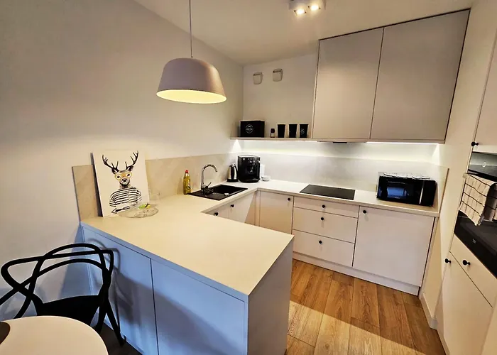 Nova Oasis Garden * Estetino